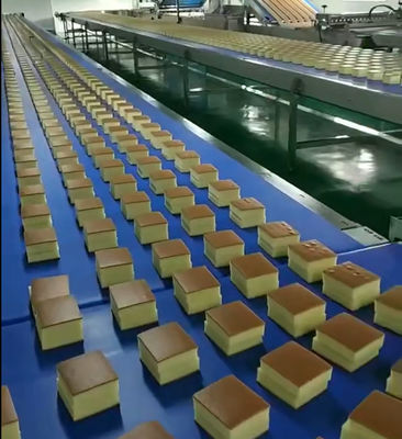 350kg/H Automated Bakery Production Line