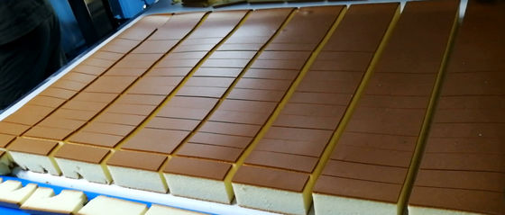 Flip Over Depanner Nagasaki Cake Automatic Cake Production Line